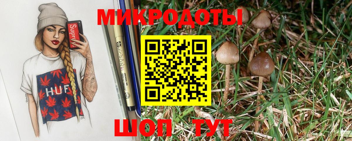 Павлово  Галлюциногенные грибы прущие грибы  Вход с VPN 